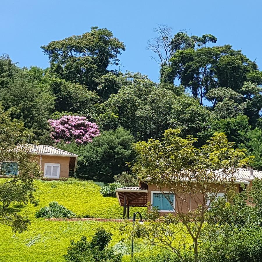 Pousada Recanto Dos Beija Flores 몬테 알레그레 두 술 외부 사진