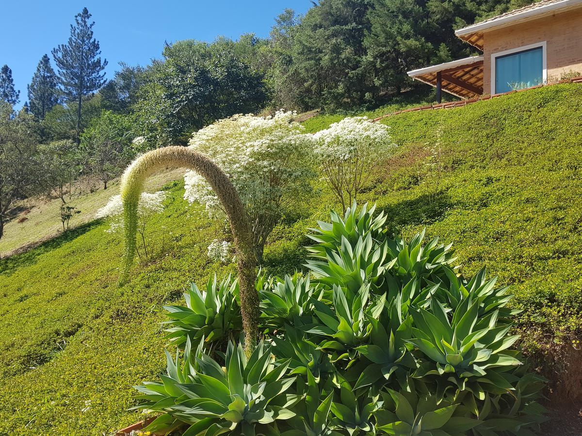 Pousada Recanto Dos Beija Flores 몬테 알레그레 두 술 외부 사진